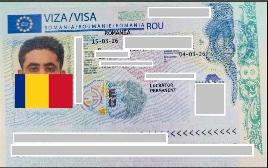 Visa success story 15